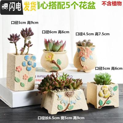 三维工匠韩式多肉花盆陶瓷大号大口径肉肉植物粗陶透气创意小花盆 精心搭配5个盆 小花盆容器