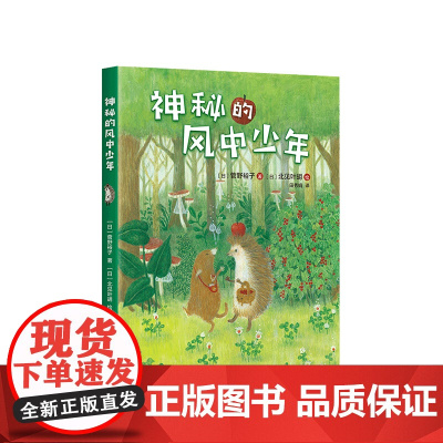 小刺猬奇遇记:神秘的风中少年 童话故事 图文结合 勇气 智慧 善良 欢笑 惊喜 神奇 奇妙 一二三四年级 课外读物 爱