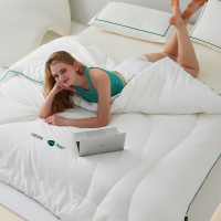 全棉A类Naia伊士曼醋酸纤维恒温被 透气保暖春秋被加厚保暖冬被芯