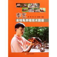 正版新书]李艺金钱龟养殖技术图谱周婷9787109155022