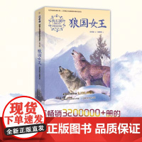 正版童书 沈石溪动物小说全集感悟生命书系狼国女王五彩龙鸟雪域豹影7-12-15岁儿童文学中小学生课外阅读物狼王梦作者著正