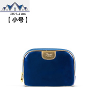 化妆包女小号便携大容量韩国简约ins风超火网红化妆品收纳包旅行 三维工匠
