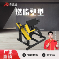 赤道线 二头肌训练器健身综合训练器 不含哑铃片CDX-A523S-BFT1016