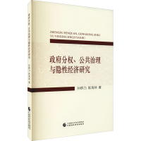 音像分权、公共治理与隐经济研究孙群力,陈海林