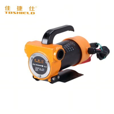 抽油泵 JS16024V/24V*200W