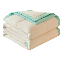 红星永信达 空调被夏凉被 HX-RZ014 条