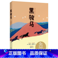k4.黑骏马 [正版]童话 中文分级阅读K4 梅子涵著 亲近母语儿童文学 四年级小学生课外阅读书籍经典书目少儿读物黑骏马