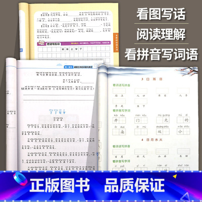 看拼音+看图写话+阅读[3本] [正版]一年级上册语文同步训练全套 人教版专项练习册 看拼音写词语 看图说话写话 课内课