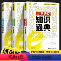 语数英 小学通用 [正版]2023通城学典小学生一二三四五六年级小学语文数学英语知识通典通用版 小升初资料包大集结基础知
