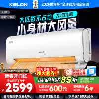 [官方自营]科龙(KELON)2匹新一级节能变频家用 客厅商铺空调挂机冷暖 智能语音控制KFR-50GW/LN1H-X1