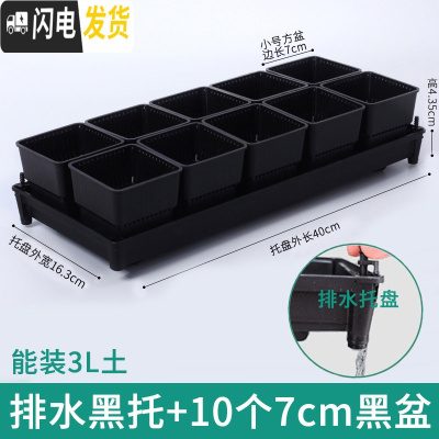三维工匠美莳控根多肉花盆塑料套装组合创意透气肉肉控型盆器带托盘小花盆 [排水黑托]+10个黑盆(7cm盆) 小花盆容器