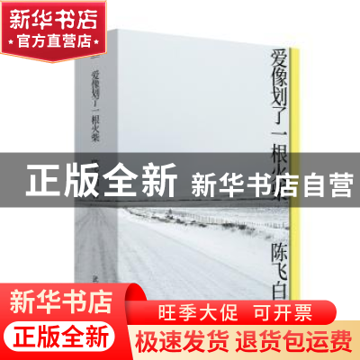 正版 爱像划了一根火柴 陈飞白 武汉大学出版社 9787307215856 书