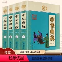 [正版]中华典故大全集全套4册国学经典启蒙书籍版青少年成人版古典文学古代历史励志正能量美德故事中华书局书籍 畅