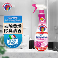 大公鸡管家马桶清洁剂(除垢) DGJGJ-MTQJJ-PB-625ML