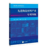 音像陶瓷材料产业专利导航王怀志,胡庆乙,于凌崧,?李检