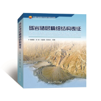 正版新书]砾岩储层精细结构表征李顺明9787518333202