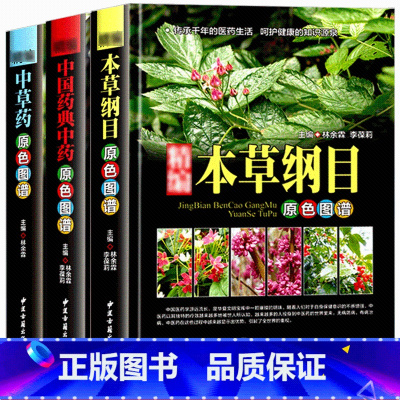 [正版]精编3册本草纲目中草药中国药典原彩色图谱图鉴精装中医基础理论医学入门常用中药方剂药材草药识别大全古代医药百科全