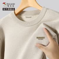 啄木鸟毛衣男款秋冬季2024新款加绒加厚打底衫毛线衣男士针织衫Y