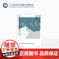 哲学的慰藉 阿兰·德波顿作品集 资中筠译 精装 周国平教授撰文 哲学通俗读物 心理自助 樊登读书 上海译文出版社 正版