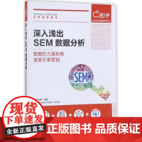 深入浅出SEM数据分析(数据的力量助推搜索引擎营销新技术