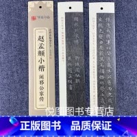 赵孟頫小楷·闲邪公家传(39页约1200字) [正版]华夏万卷毛笔近距离临摹字卡墨迹字帖灵飞经临帖卡赵孟頫行书洛神赋小楷