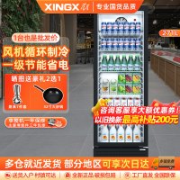 星星(XINGX) 271升立式单门商用风直冷冷藏冰箱展示柜 超市饮料啤酒保鲜冷柜茶叶冷饮陈列冷柜LSC-280FYPE