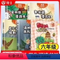 套装5册 小学六年级 [正版]2023小学生阅读书单数学公主探案记(6)勇闯镇妖塔fb爱丽丝漫游奇境 汤姆·索亚历险记