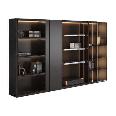 臻远ZY5042305现代简约书橱背景墙展示柜 3.89米