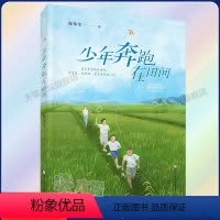 少年奔跑在田间 [正版]少年奔跑在田间 陈伟军著 儿童文学青少年成长励志读物三四五六年级小学生课外阅读书籍 儿童文学作品