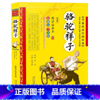 [正版]骆驼祥子老舍原著精读拓展本无删减学生版导读点评版知识考点南方日报出版社9-10-12-15-18岁初高中小学生