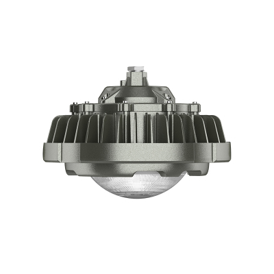 欧辉照明 (OHUIZAOMIN) OHBF8236-100W LED防爆灯 套 1 付款后15天内发货