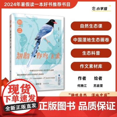 [店]翘盼野鸟飞来 2024暑期读一本好书动物、鸟、自然生态、中国湿地生态
