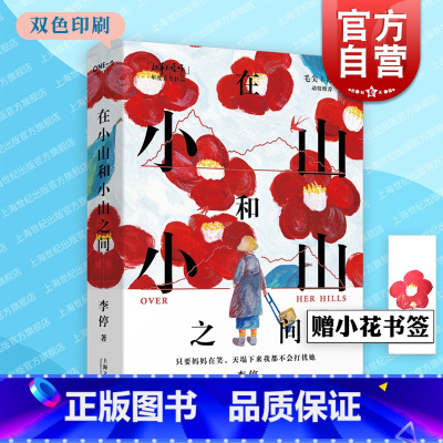 [正版]2023豆瓣年度书单在小山和小山之间 ONE一个故事大爆炸年度作品李停著作8张精美彩色插画女性故事上海文艺中国