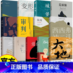 大地 [正版]世界文学名著13册 诺贝尔文学奖代表作小说全译中文版 大地 爱伦坡短篇小说集 伤心咖啡馆之歌 在轮下 变形