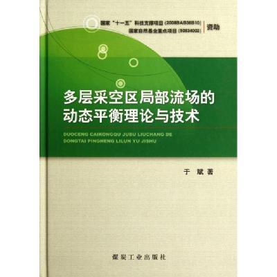 正版新书]多层采空区局部流场的动态平衡理论与技术(精)于斌9787
