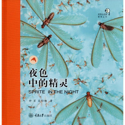醉染图书夜色中的精灵9787568914963