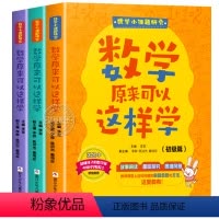 全套3册 [正版]数学原来可以这样学初级中级高级课题研究全3册小学生数学趣味课外阅读书籍必读三四五六年级老师儿童故事书数