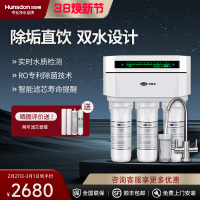 汉斯顿/Hunson家用厨下直饮RO反渗透净水器净水机1503 双膜双水直饮 滤芯更换提醒
