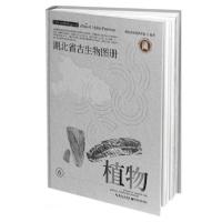 正版新书]湖北省古生物图册(6植物)(精)朱厚伦、马元编978757060