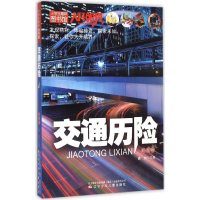 音像交通历险龚勋 主编