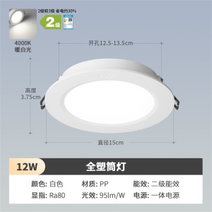 雷士照明大瓦数led筒灯商用工厂大发光面天花灯无主灯家用节能高亮吊顶孔灯