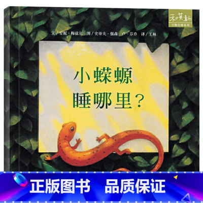 小蝾螈睡哪里? [正版]小蝾螈睡哪里硬壳精装绘本图画书和英童书