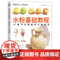 水粉基础教程 美学大师零基础从入门到美院色彩静物书教程初学者