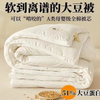 大豆纤维被a类被子四季通用空调被春秋被被芯纯棉加厚冬被子_52