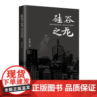 硅谷之龙