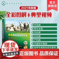 正版 羊病类症鉴别与诊治彩色图谱 羊常见病病例分析诊断 羊类生病治疗防治用药工具书 羊场兽医养羊专业大户收益相关师生指导