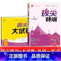 2册[拔尖特训+拔尖大试卷]外研版(一起) 四年级上 [正版]2025春拔尖特训英语外研版一年级起点英语练习册外研社小学