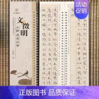 [正版]文征明小楷落花诗册 近距离临摹字帖练习字卡 弘蕴轩编 全文无删减放大碑帖 文徵明墨迹本学生成人近距离临摹字卡全8