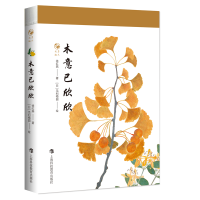 音像木意已欣欣徐红燕 著