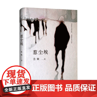 惹尘埃 鲁敏 著 小说